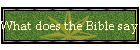 What does the Bible say to it?