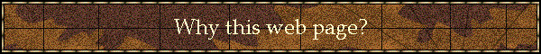 Why this web page?