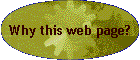 Why this web page?